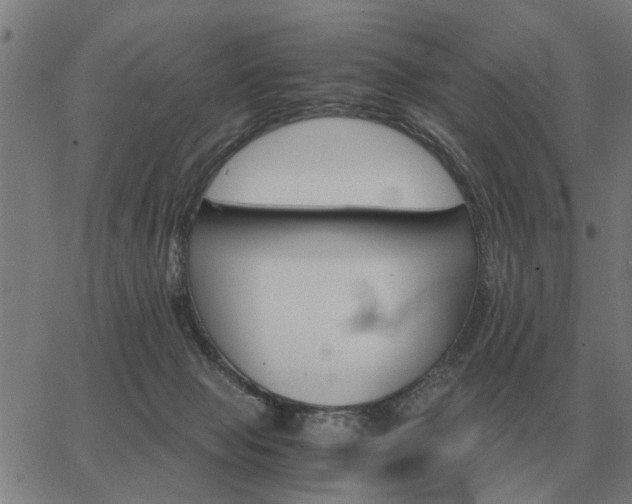 X0000062880077200601201830