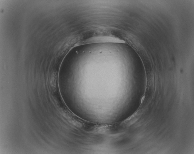 X0000062880078200601201830