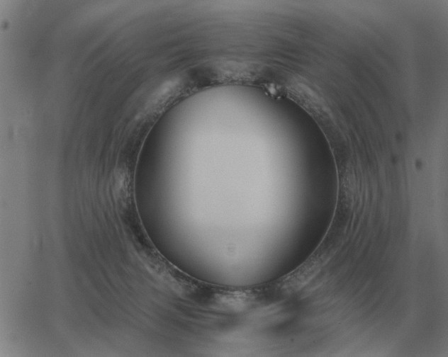 X0000062880079200601201830