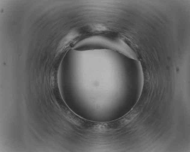 X0000062880080200601201830