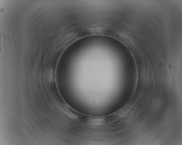 X0000062880081200601201830