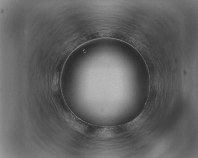 X0000062880082200601201830