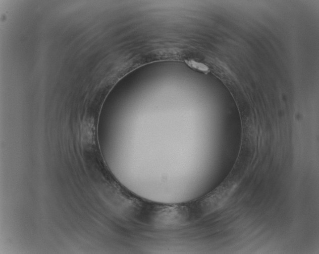 X0000062880083200601201831