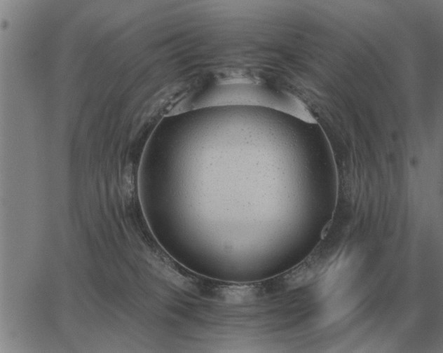 X0000062880085200601201831