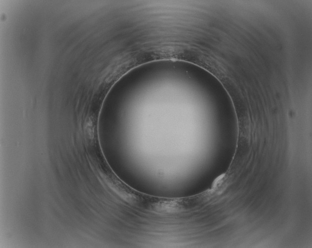 X0000062880086200601201831