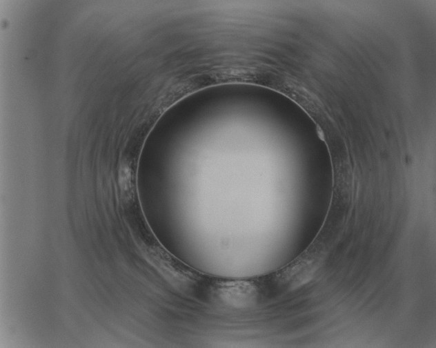 X0000062880087200601201831