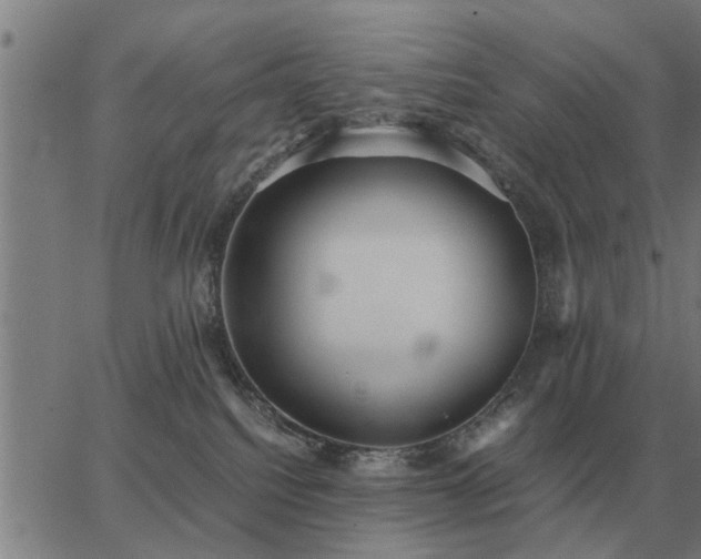 X0000062880088200601201831