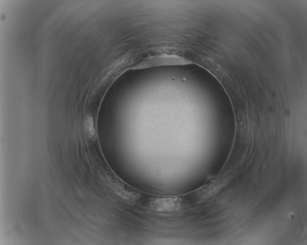 X0000062880089200601201831