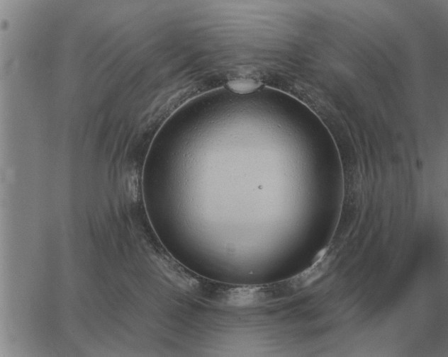 X0000062880090200601201831