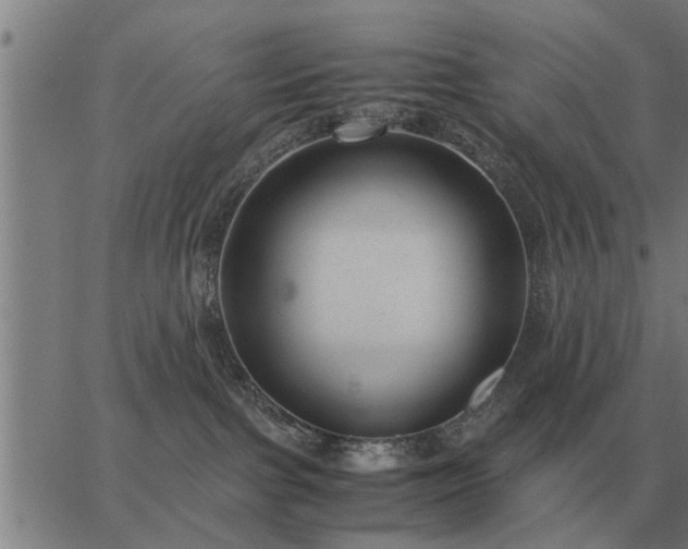 X0000062880091200601201831