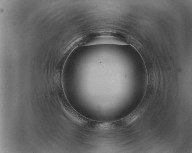 X0000062880092200601201831