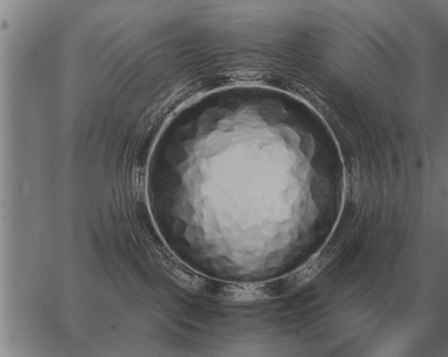 X0000062880093200601201831