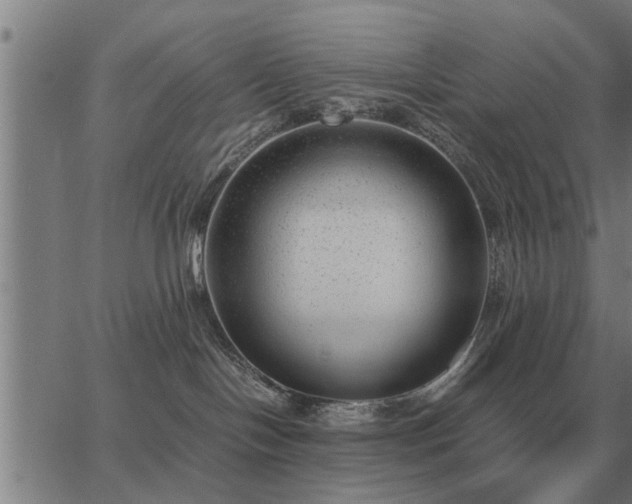 X0000062880094200601201831