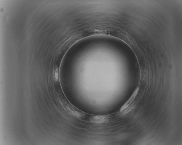 X0000062880095200601201831