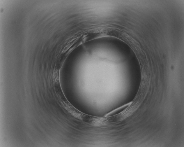 X0000062880096200601201831