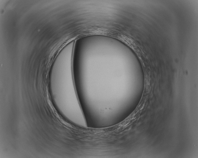 X0000062880097200601201830