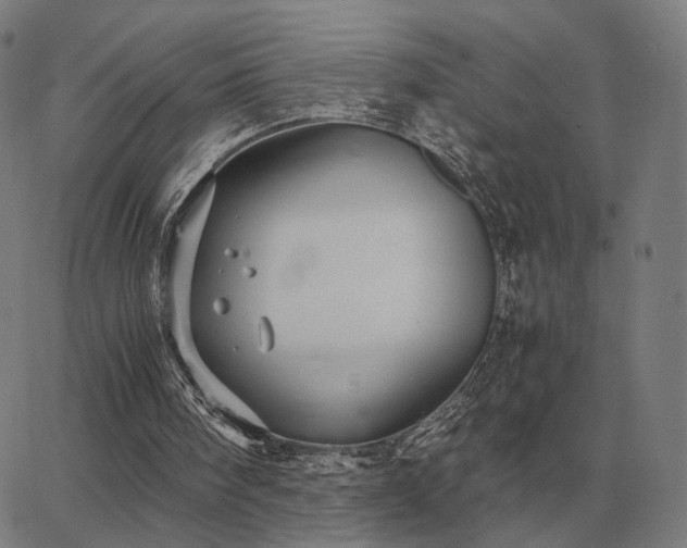 X0000062880098200601201830