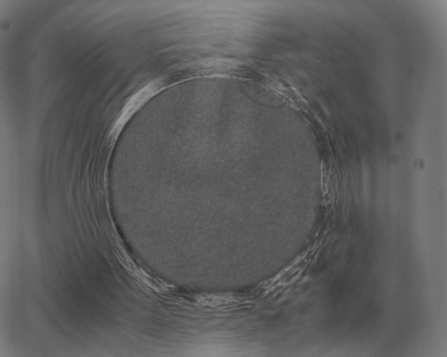 X0000062880099200601201830