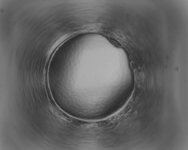 X0000062880100200601201830