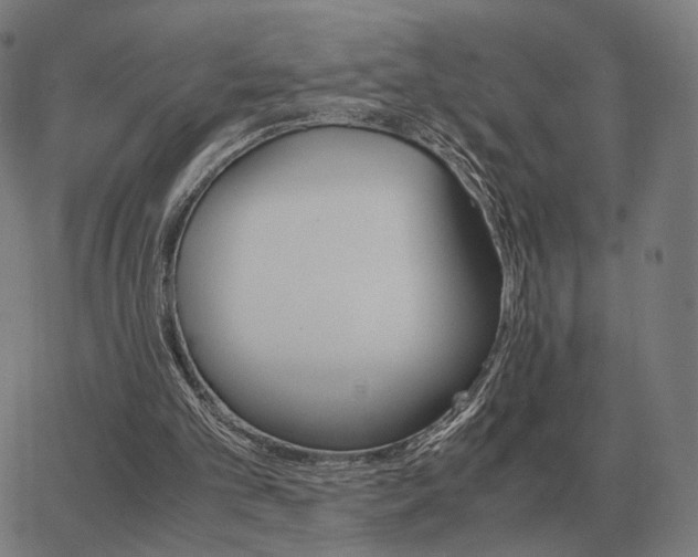 X0000062880101200601201830