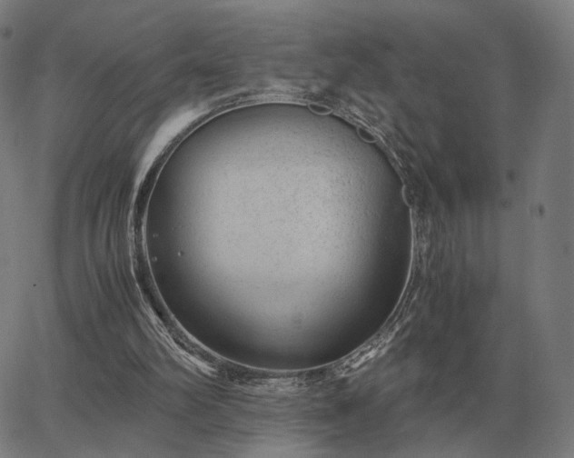 X0000062880102200601201830