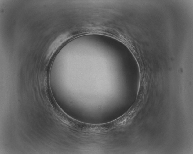 X0000062880103200601201830