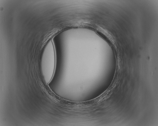 X0000062880105200601201830