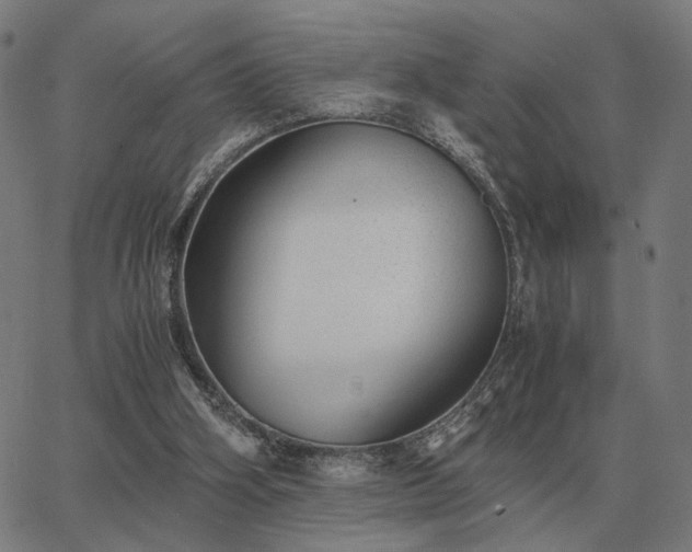 X0000062880106200601201830