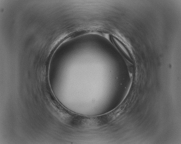 X0000062880107200601201830