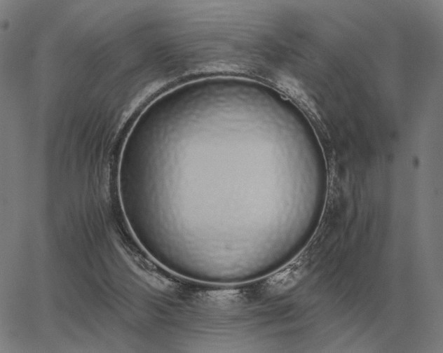 X0000062880108200601201830