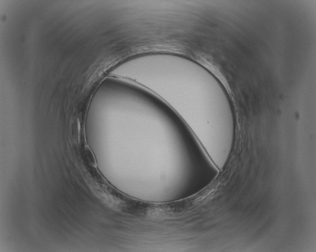 X0000062880109200601201830