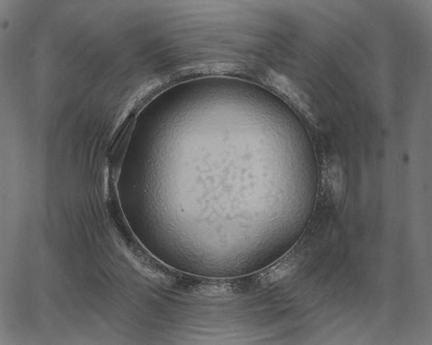 X0000062880110200601201830