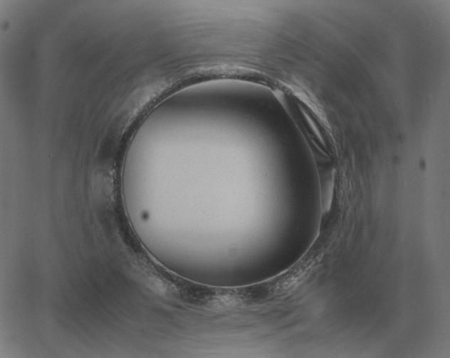 X0000062880111200601201830