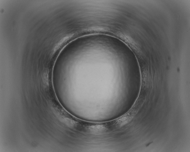 X0000062880112200601201830