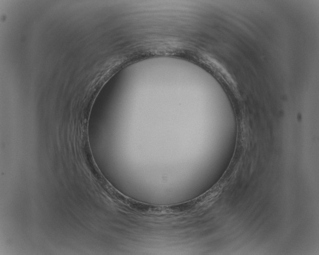 X0000062880113200601201830