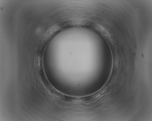 X0000062880115200601201830