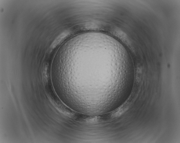 X0000062880116200601201830