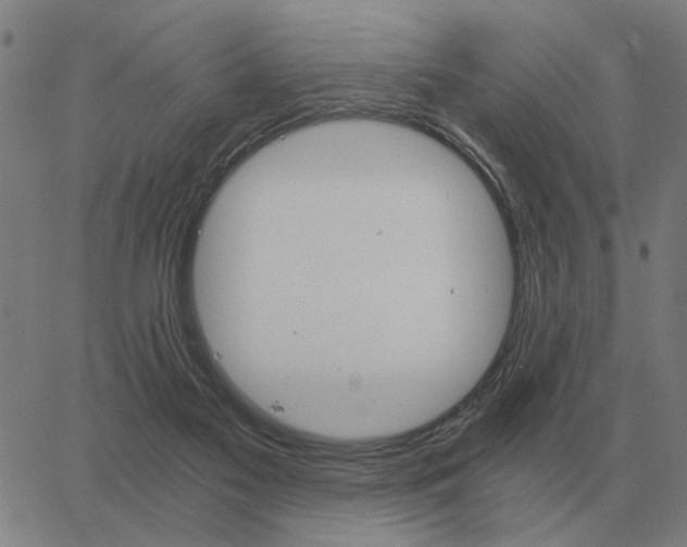 X0000062880117200601201830