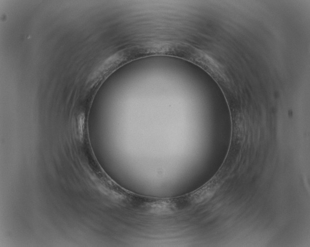 X0000062880118200601201830