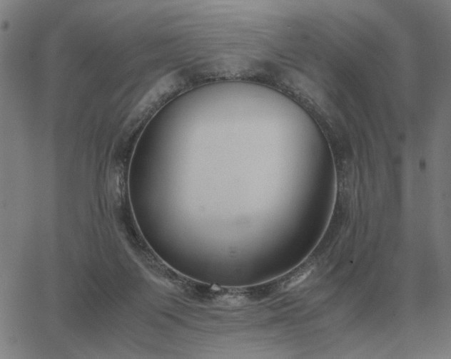 X0000062880119200601201830