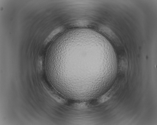 X0000062880120200601201830