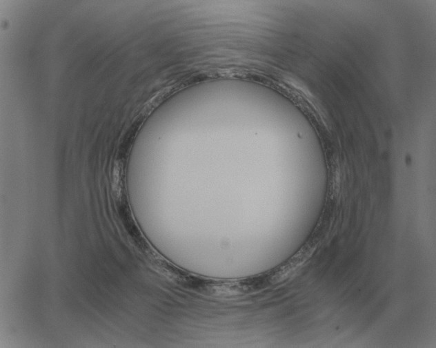 X0000062880121200601201830