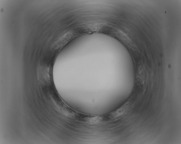 X0000062880122200601201830