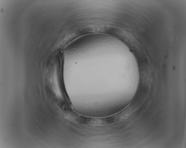 X0000062880123200601201830