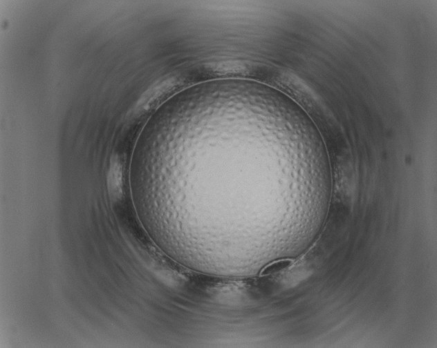 X0000062880124200601201829