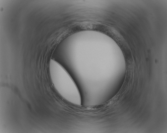 X0000062880125200601201829