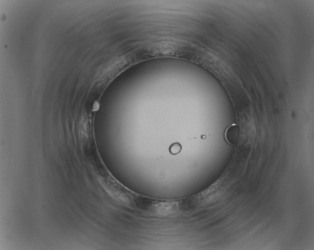 X0000062880126200601201829