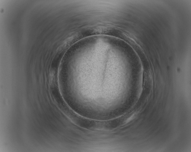 X0000062880127200601201829