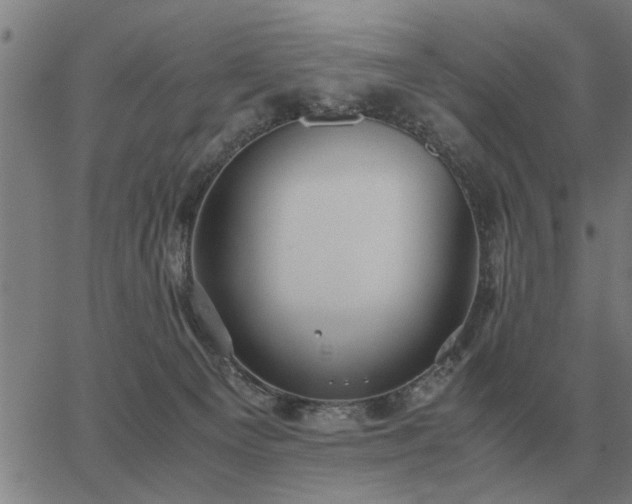 X0000062880129200601201829