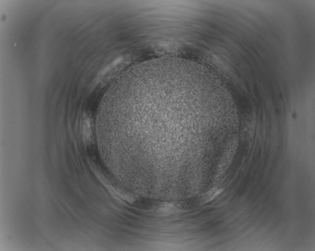 X0000062880130200601201829